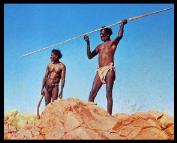 Australian Aborigine