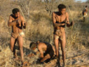 Kalahari Bushmen