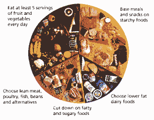 DiabetesUK food plate