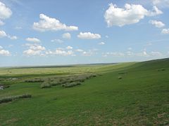 Grasslands of Mongolia