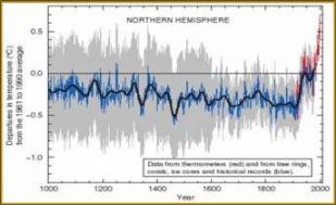 Hockey stick graph