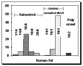 Fatty acids in human fat