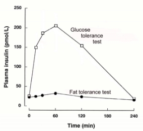 Glucose Tolerance Test: Healthy Person