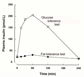 Glucose Tolerance Test: Healthy Person.