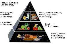 USDA food pyramid