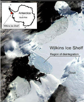 Wilkins Ice Shelf